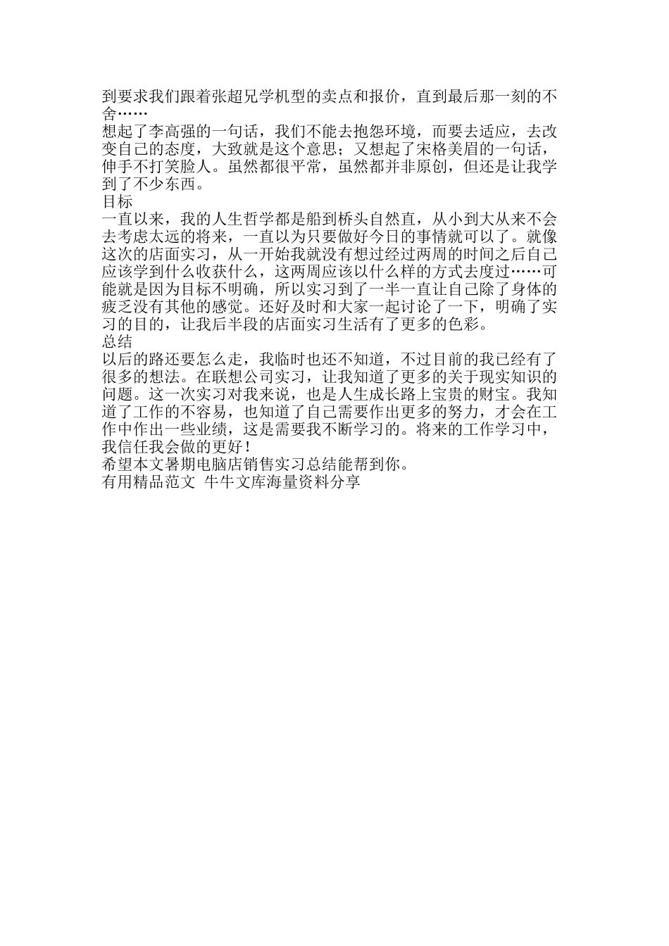 暑期电脑店销售实习总结-精品范文资料_第2页