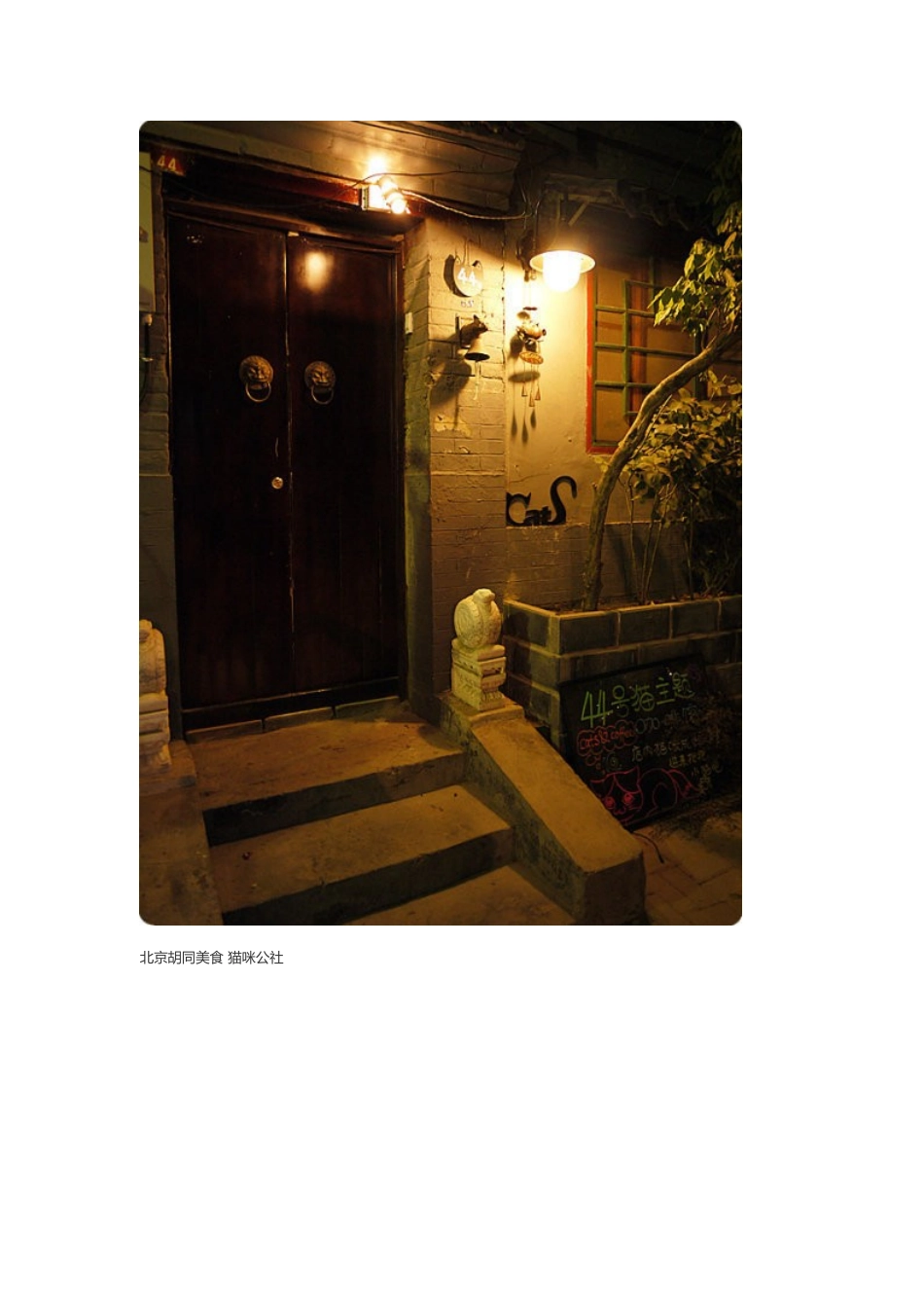 有咖啡可喝的猫咪公社——44号猫咪主题咖啡馆_第2页