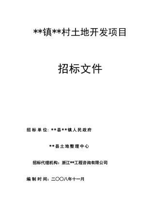 村土地开发项目招标文件