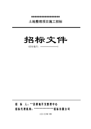 村土地整理项目施工招标文件