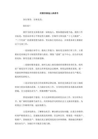 村委员候选人承诺书