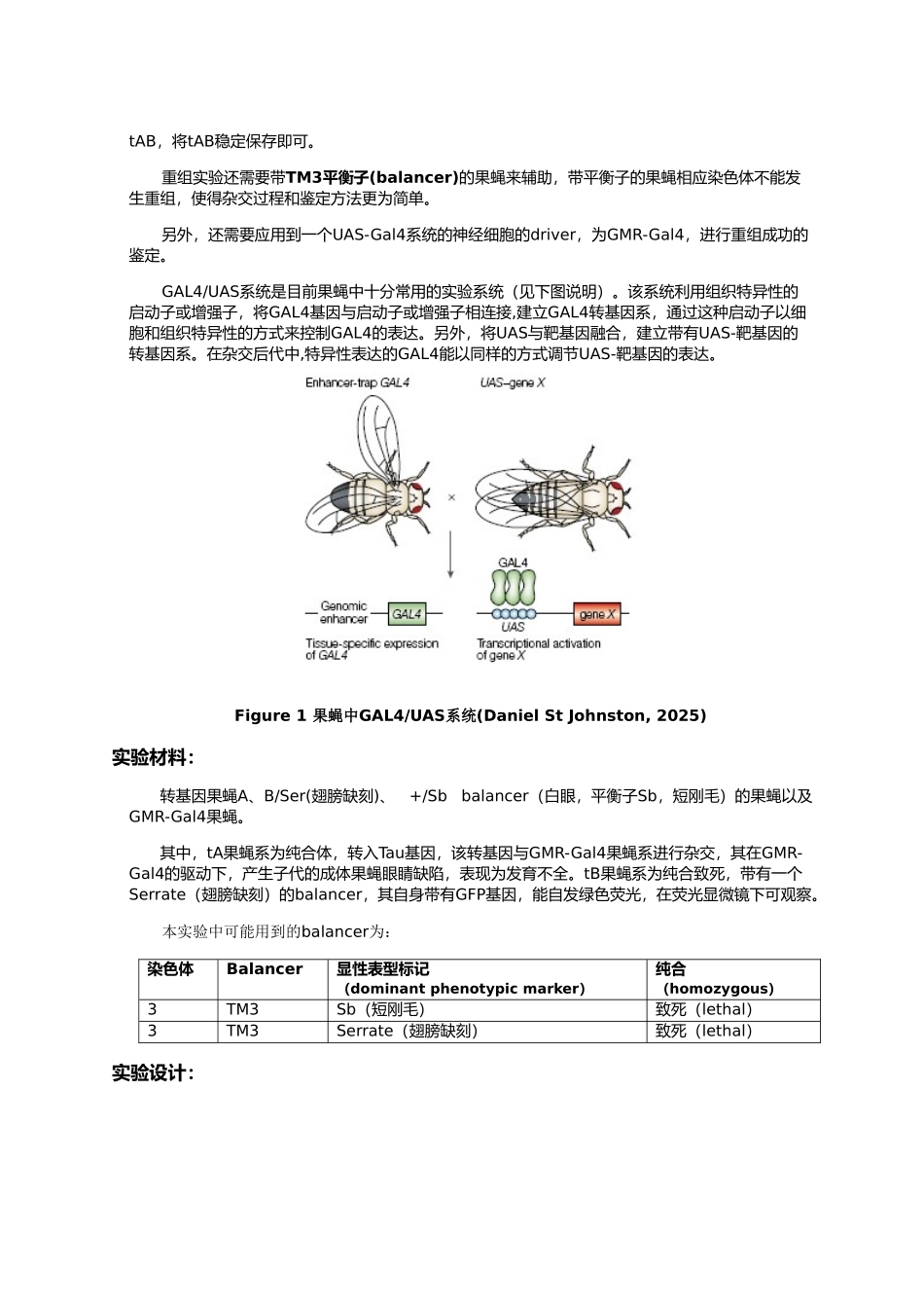 果蝇大实验-转基因果蝇的杂交重组和鉴定_第2页