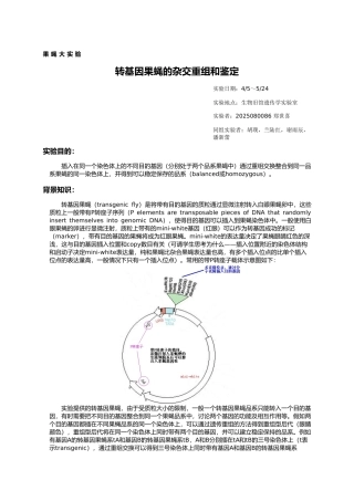 果蝇大实验-转基因果蝇的杂交重组和鉴定