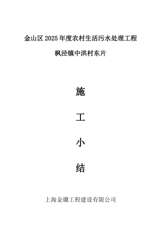 枫泾镇中洪村污水报告