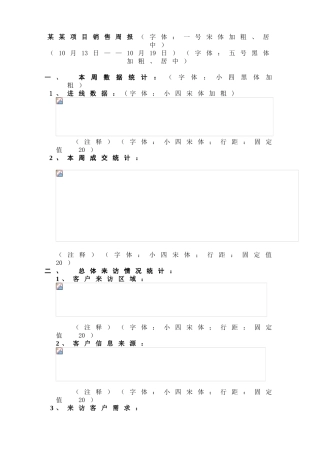 某某项目销售周报