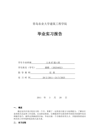 某毕业实习报告