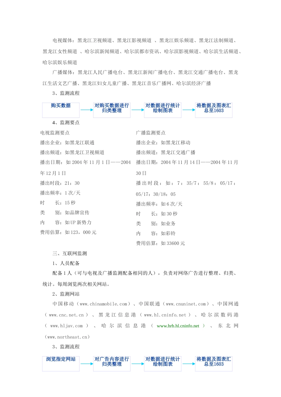 某著名通讯公司公司媒体监测项目实施计划_第3页