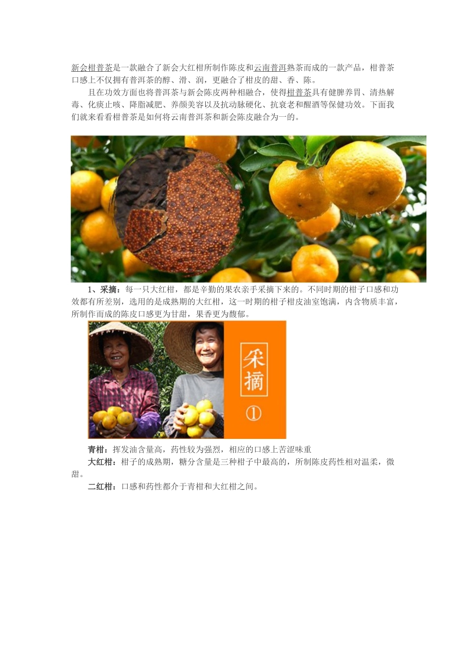 柑普茶的制作方法_第1页