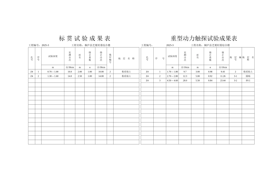 标-贯-试-验-成-果-表_第1页
