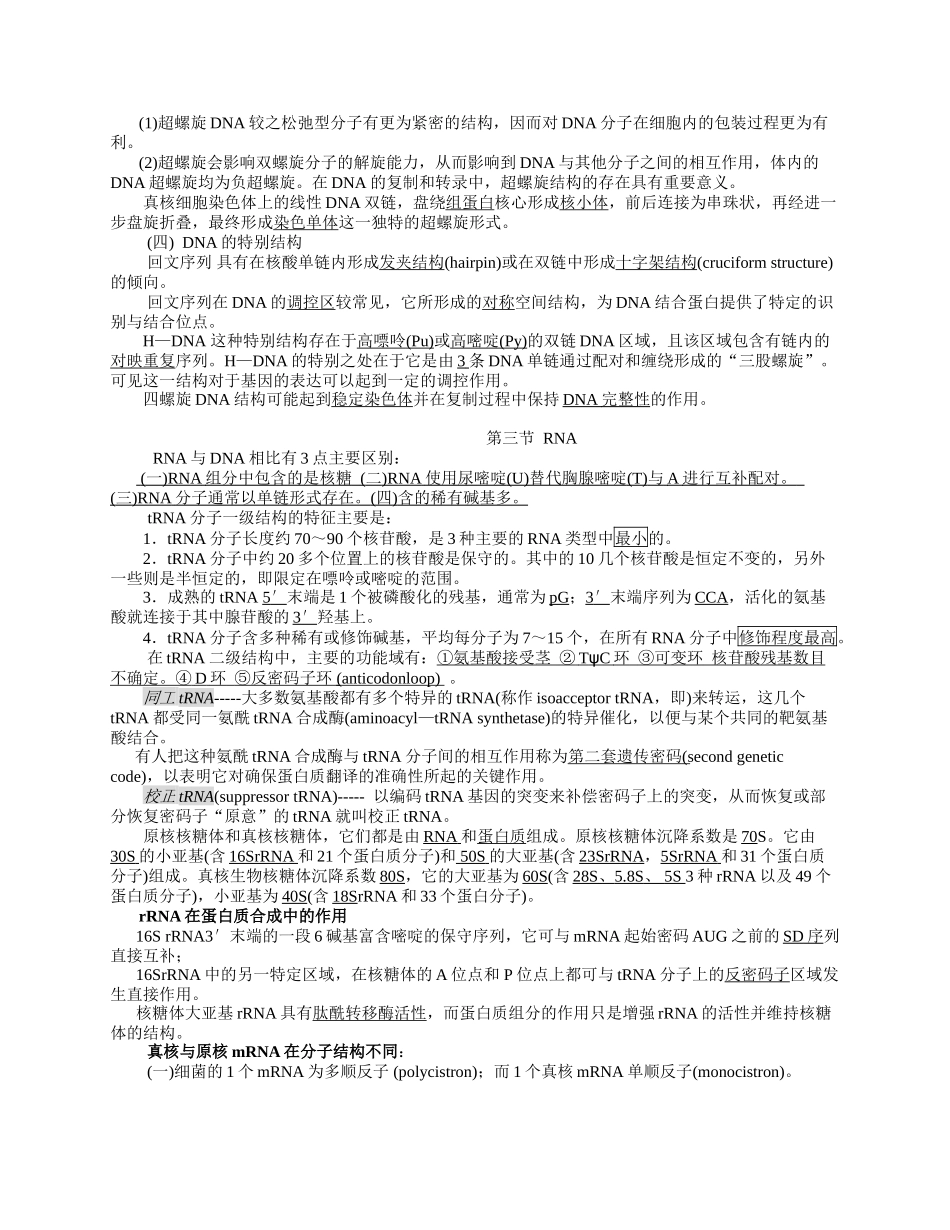 核酸的结构与功能10_第2页