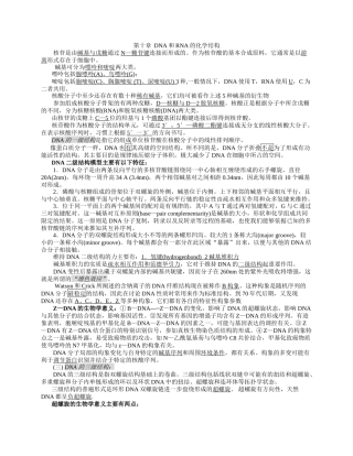 核酸的结构与功能10