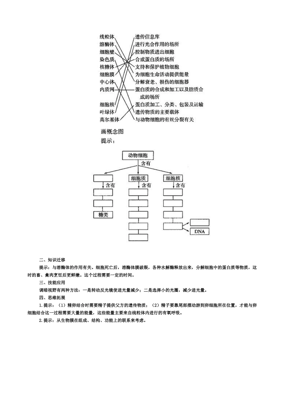 案第三节--细胞核_第3页