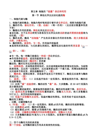 案第一节-降低化学反应活化能的酶