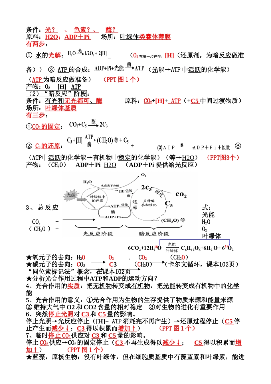 案第5章第4节光合作用_第2页