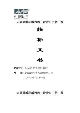 桥梁工程招标文件-160107