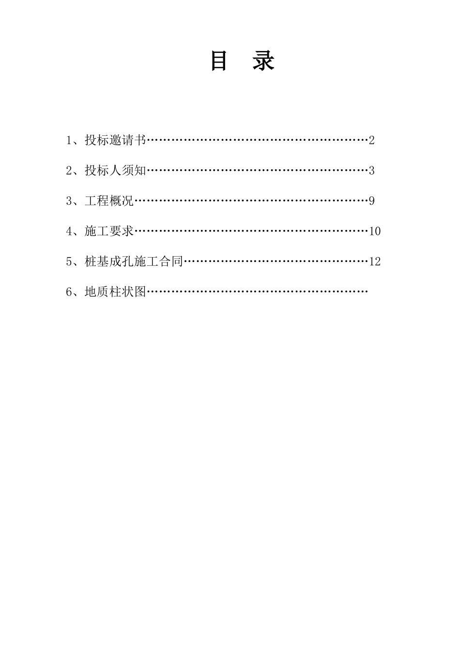 桩基成孔工程招标文件_第2页
