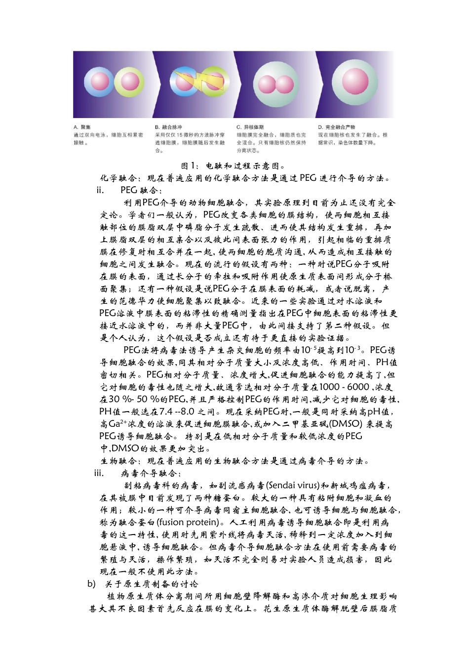 植物原生质体的制备及融合卢文_第3页