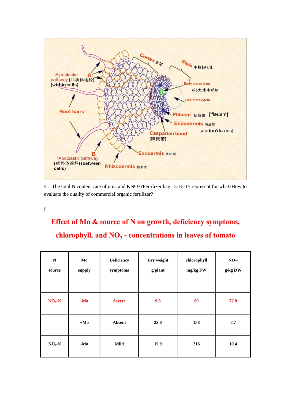植物营养考试题_第2页