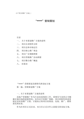 武汉某小户型项目营销策划