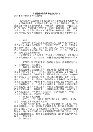 水稻条纹叶枯病的发生及防治
