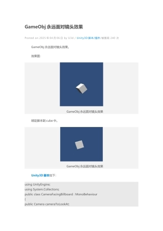 永远面对镜头效果