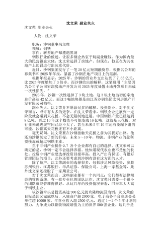 沈文荣-副业失火