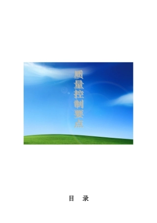 河南某住宅项目质量控制要点