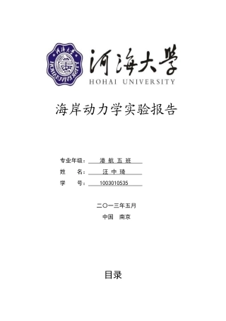 河海大学海岸动力学实验报告