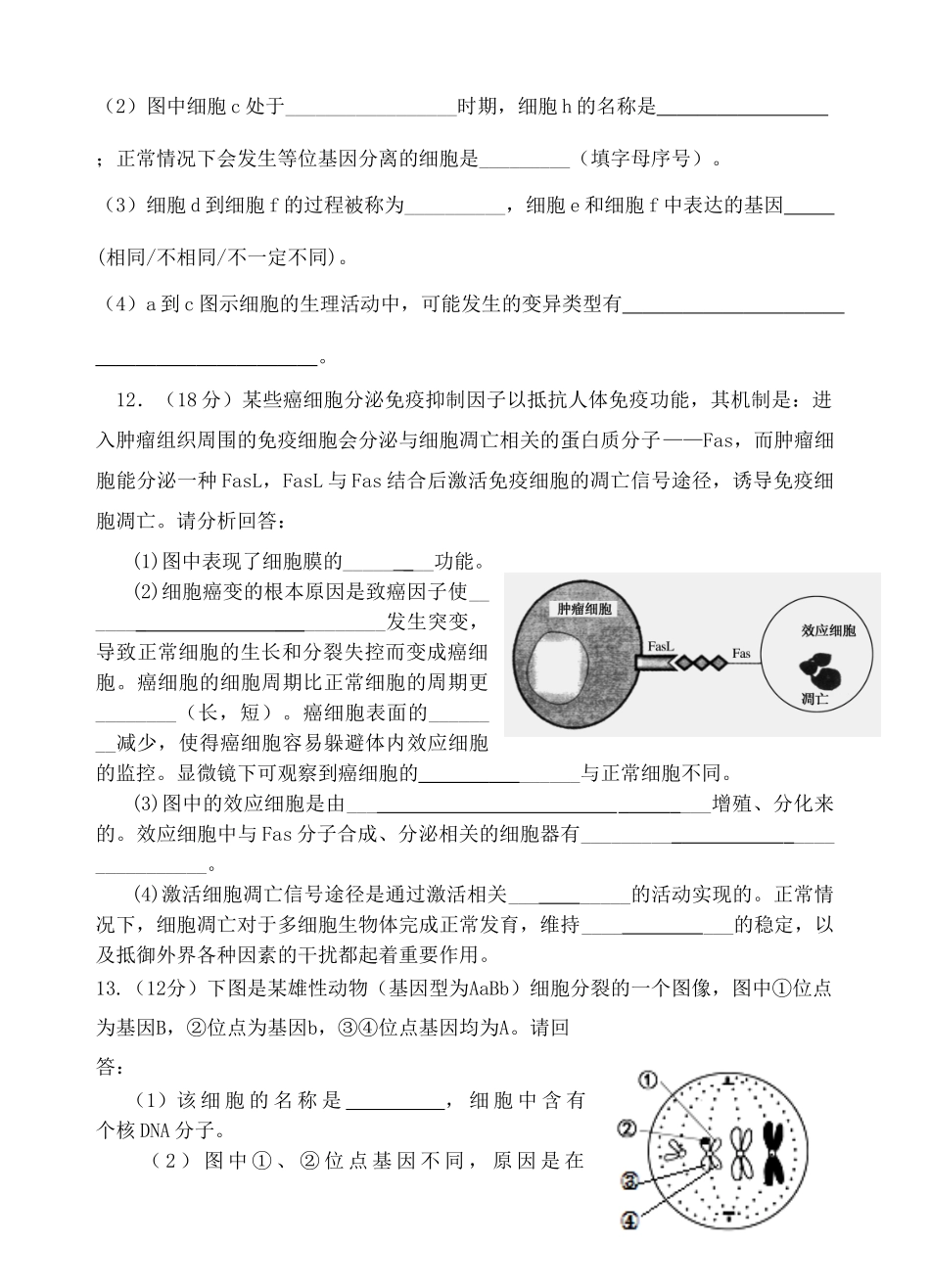 泉港一中2025高三上周练4_第3页