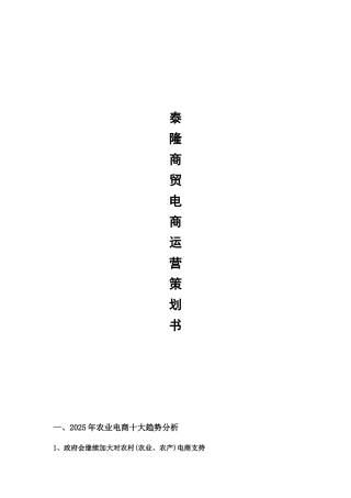 泰隆商贸电商运营策划书