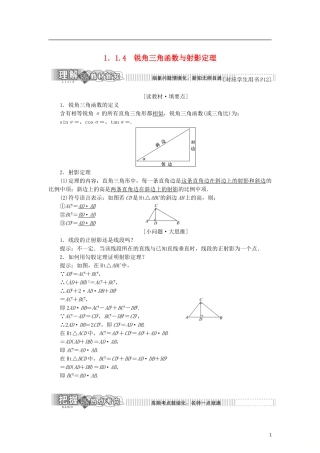 高中数学 第一章 相似三角形定理与圆幂定理 1.1.4 锐角三角函数与射影定理学案 新人教B版选修4-1-新人教B版高二选修4-1数学学案