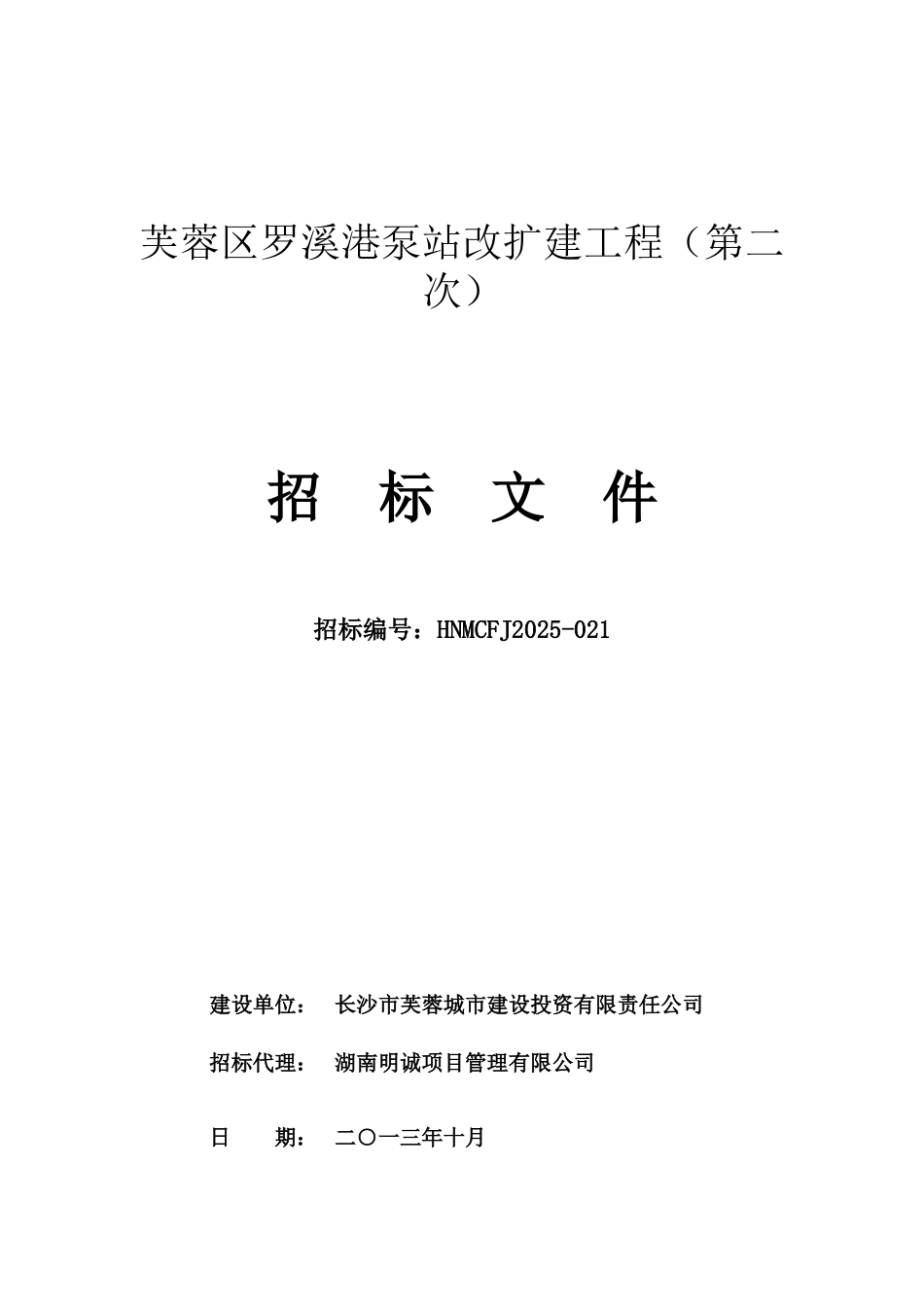 泵站改扩建工程招标文件80页_第1页