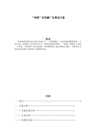 洗发露广告策划方案