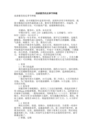 浅谈紫苏的反季节种植