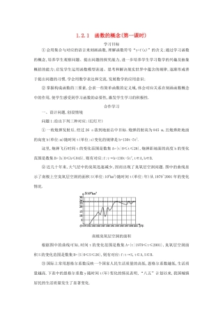 高中数学 第一章 集合与函数概念 1.2.1.1 函数的概念学案（含解析）新人教版必修1-新人教版高一必修1数学学案