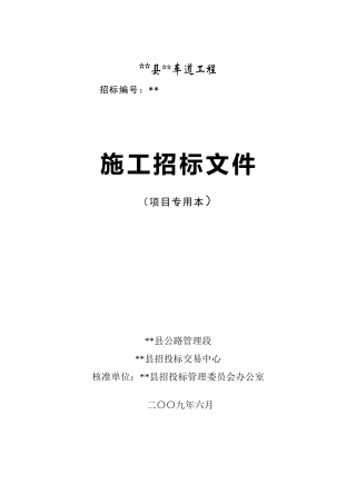 浙江省某省道路段避险车道工程施工招标文件