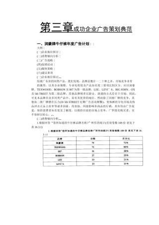 润豪牌牛仔裤年度广告计划