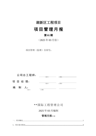 湖北某湖前期报建管理月报