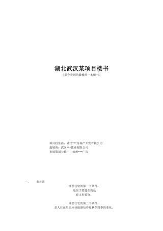 湖北武汉某项目楼书