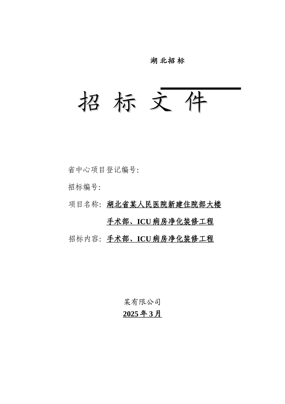 湖北省某市医院手术部、ICU病房净化装修工程招标文件_第1页