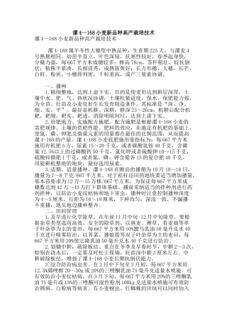 漯4—168小麦新品种高产栽培技术