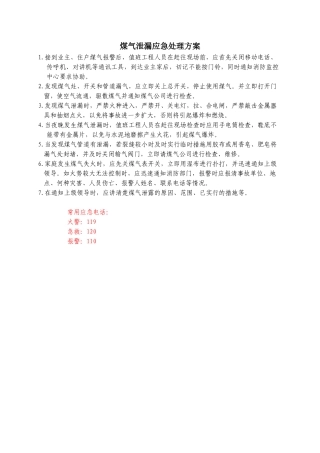 煤气泄漏应急处理方案