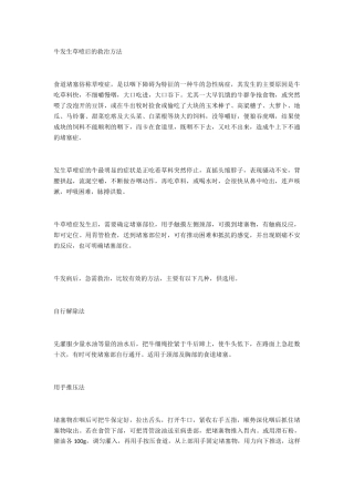 牛发生草噎后的救治方法