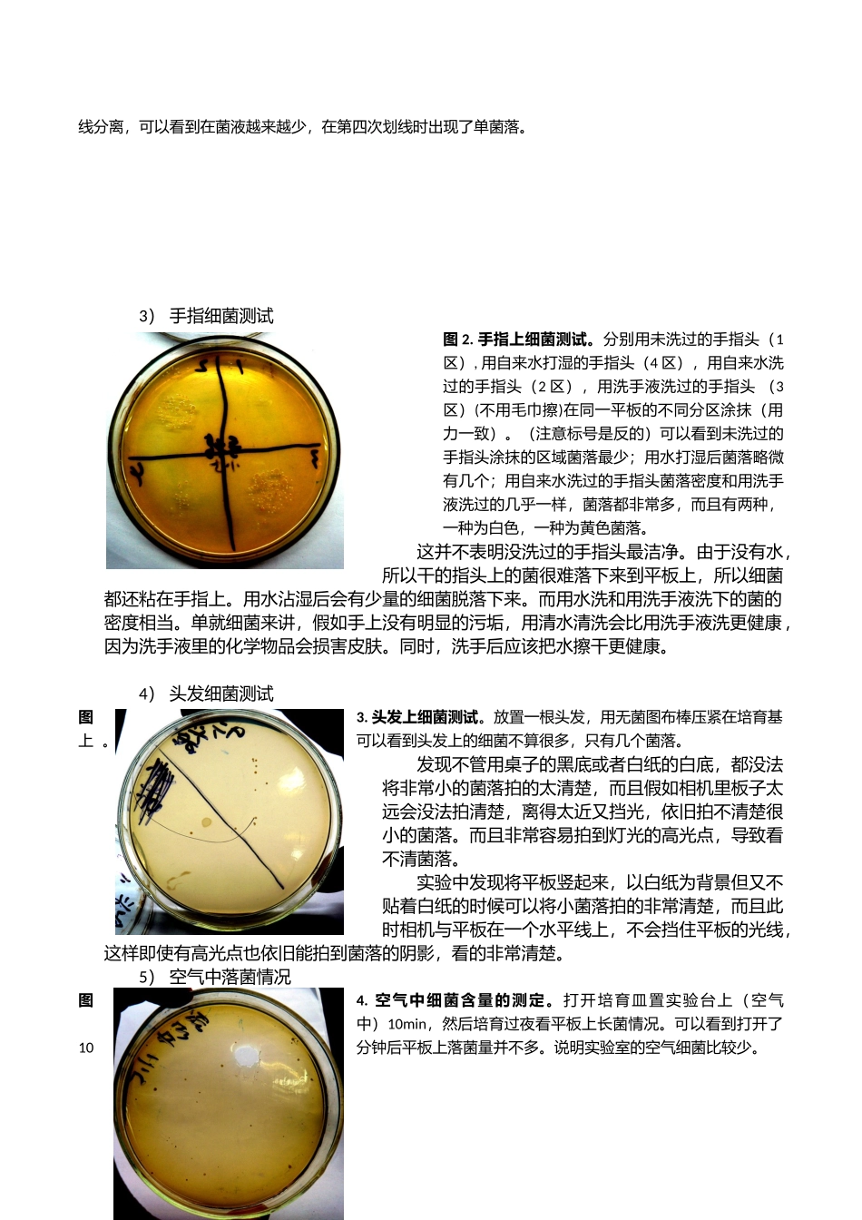环境中微生物的检测和分离纯化_第3页