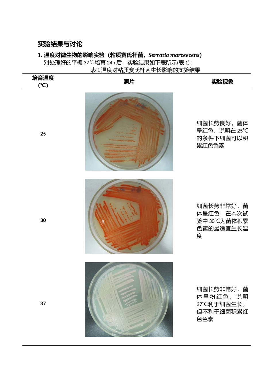 环境因素对微生物的影响和紫外诱变效应_第3页