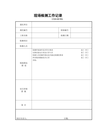 现场检测工作记录