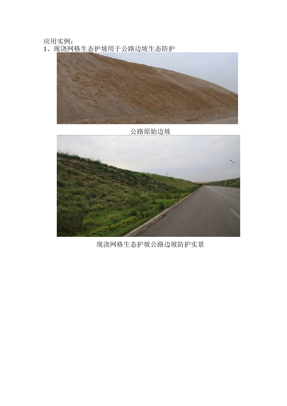 现浇网格生态护坡技术_第3页