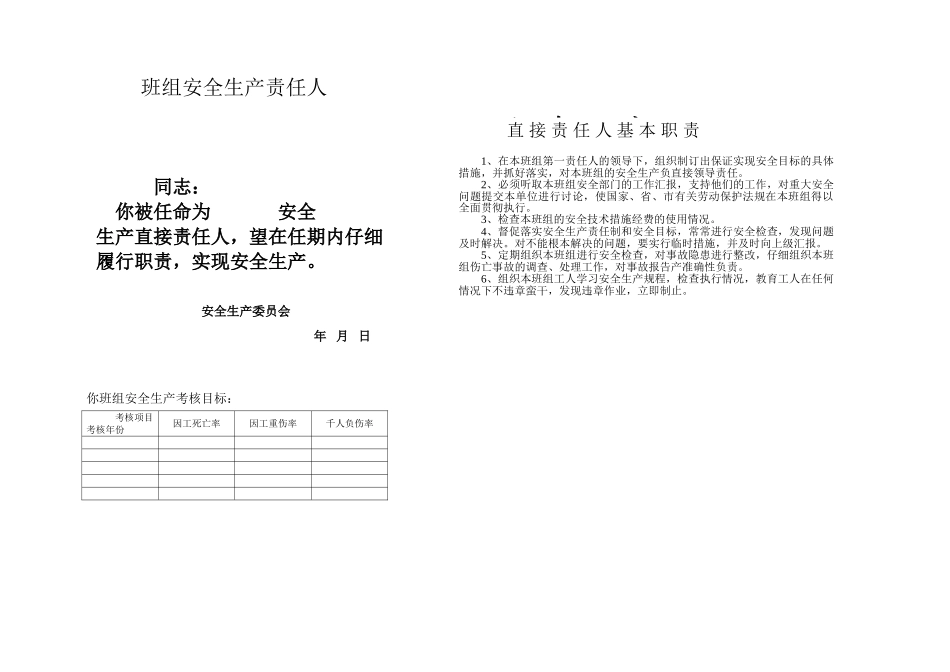 班组安全生产责任人任命书_第2页