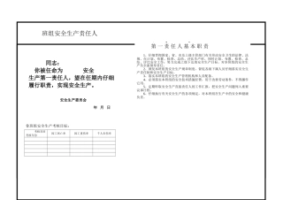 班组安全生产责任人任命书