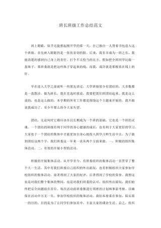 班长班级工作总结范文